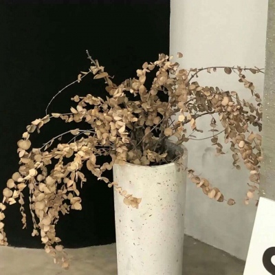 理县FurryQQ群介绍